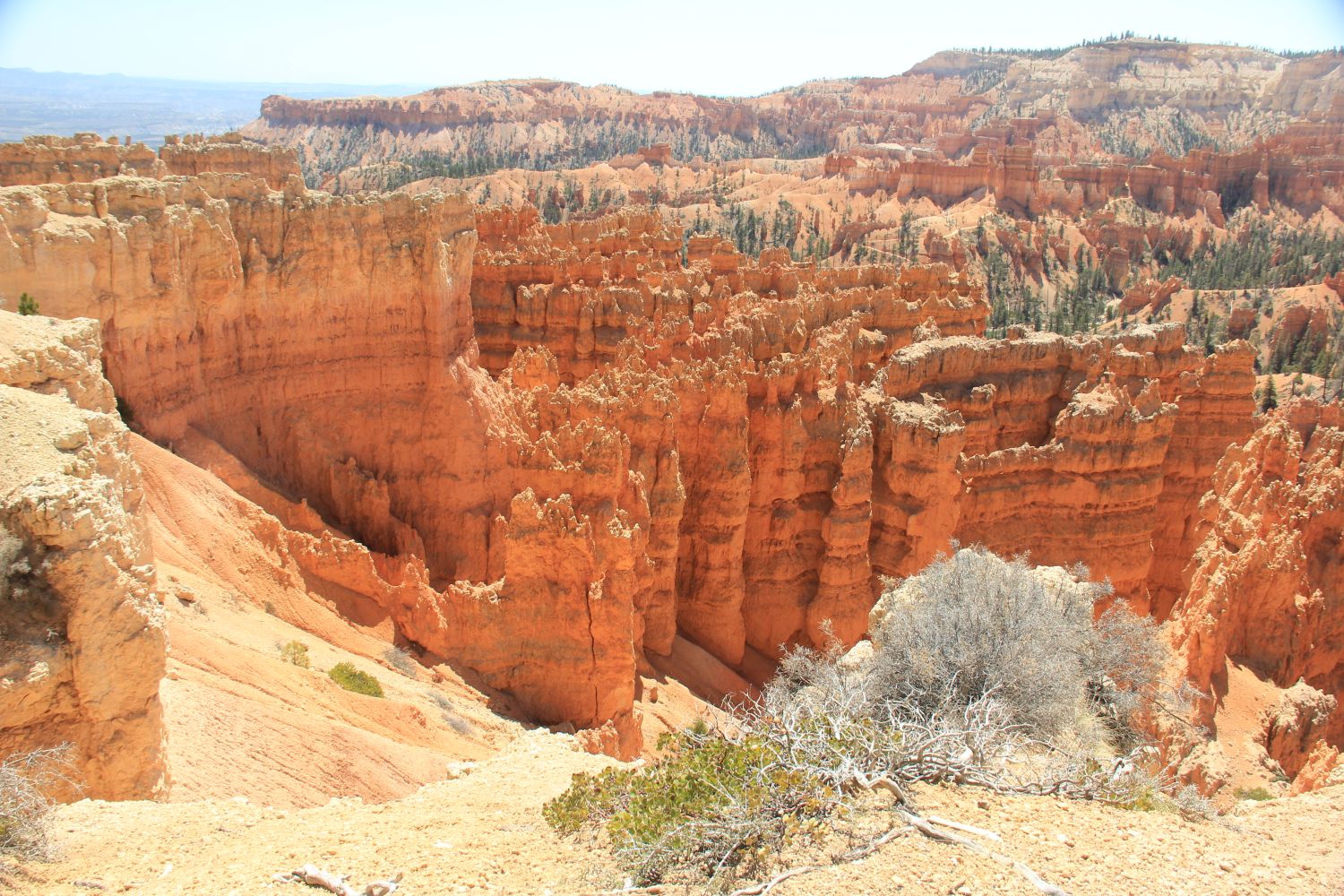 Sunset Point to Sunrise Point 